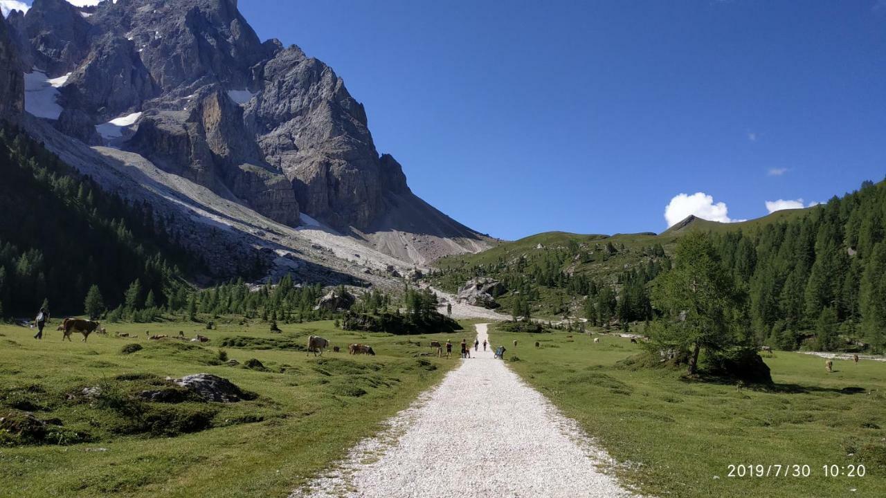 Il Covo Dello Sciatore Falcade Kültér fotó